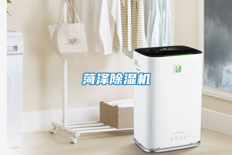 菏泽小黄片直播视频