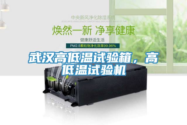 武汉高低温试验箱，高低温试验机
