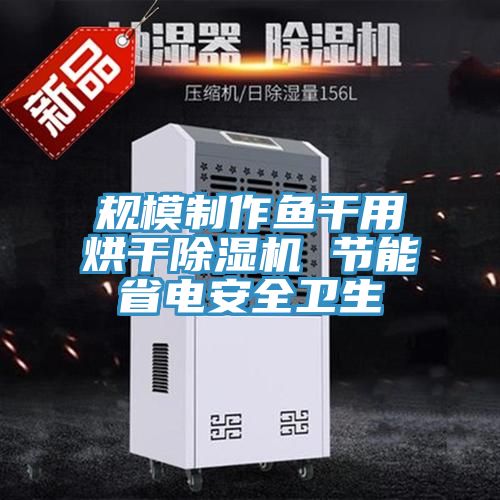 规模制作鱼干用烘干小黄片直播视频 节能省电安全卫生