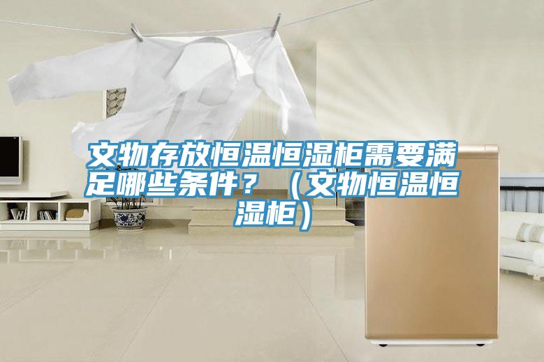 文物存放恒温恒湿柜需要满足哪些条件？（文物恒温恒湿柜）