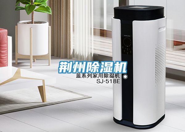 荆州小黄片直播视频