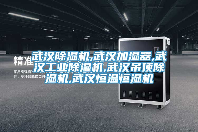 武汉小黄片直播视频,武汉加湿器,武汉工业小黄片直播视频,武汉吊顶小黄片直播视频,武汉恒温恒湿机