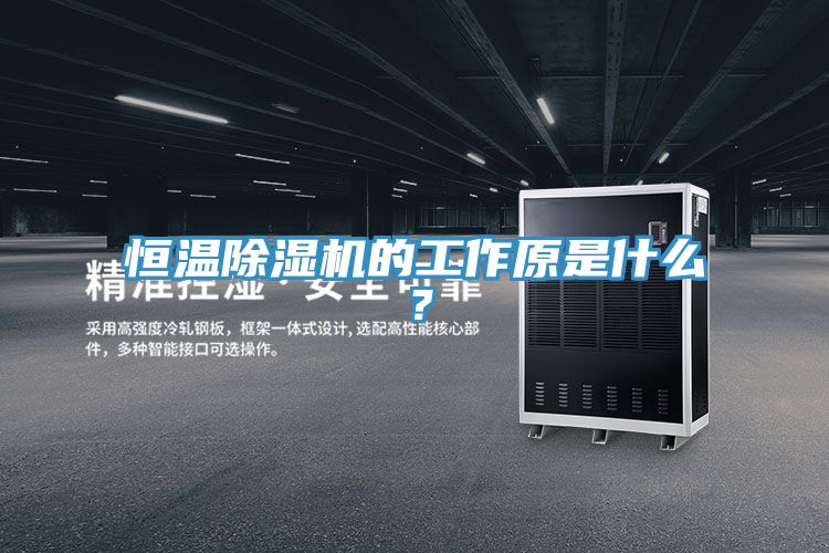 恒温小黄片直播视频的工作原是什么？
