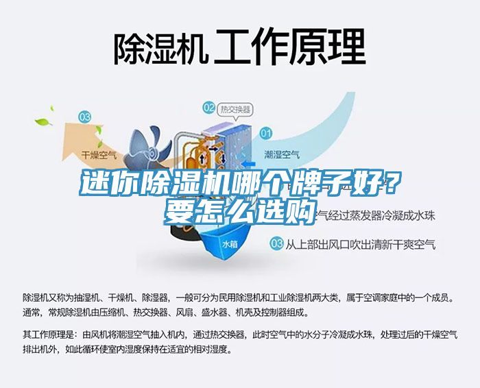 迷你小黄片直播视频哪个牌子好？要怎么选购