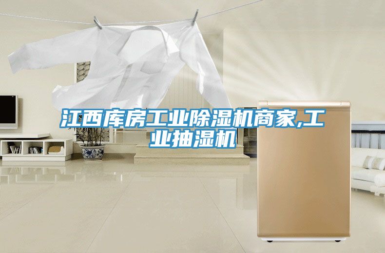 江西库房工业小黄片直播视频商家,工业抽湿机