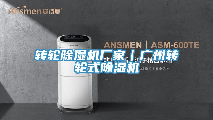 转轮小黄片直播视频厂家｜广州转轮式小黄片直播视频