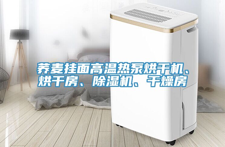 荞麦挂面高温热泵烘干机、烘干房、小黄片直播视频、干燥房