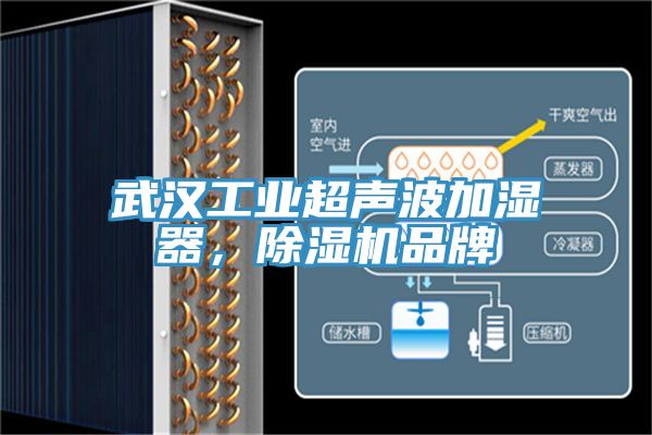 武汉工业超声波加湿器，小黄片直播视频品牌