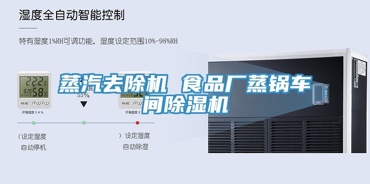 蒸汽去除机 食品厂蒸锅车间小黄片直播视频