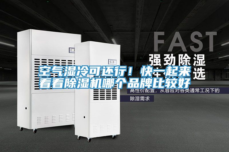 空气湿冷可还行！快一起来看看小黄片直播视频哪个品牌比较好