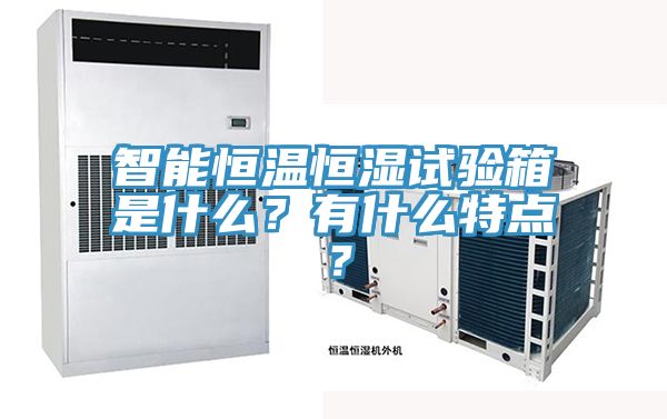 智能恒温恒湿试验箱是什么？有什么特点？