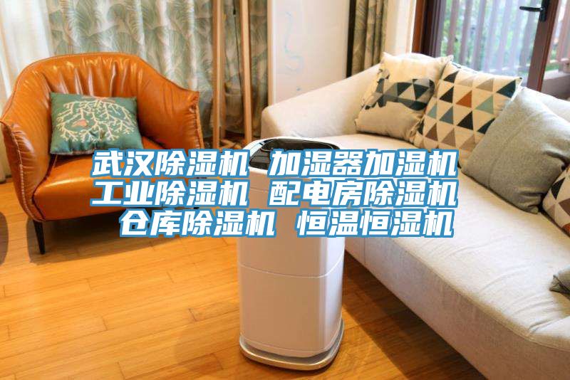 武汉小黄片直播视频 加湿器加湿机 工业小黄片直播视频 配电房小黄片直播视频 仓库小黄片直播视频 恒温恒湿机