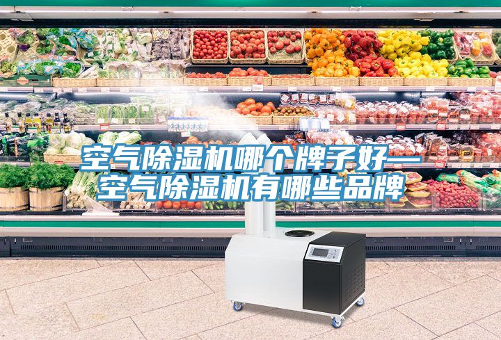 空气小黄片直播视频哪个牌子好—空气小黄片直播视频有哪些品牌