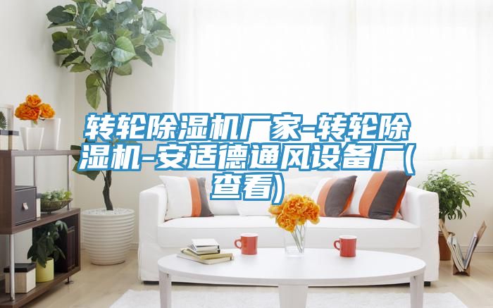 转轮小黄片直播视频厂家-转轮小黄片直播视频-安适德通风设备厂(查看)