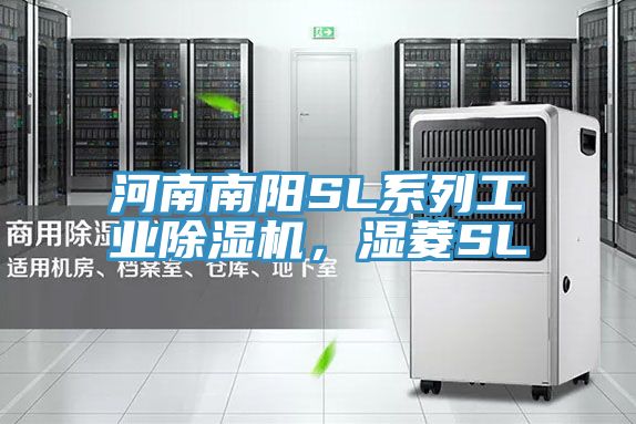 河南南阳SL系列工业小黄片直播视频，湿菱SL