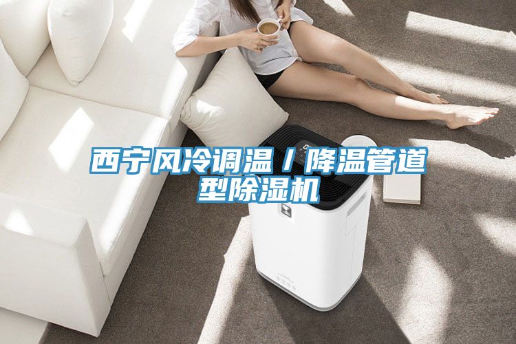 西宁风冷调温／降温管道型小黄片直播视频