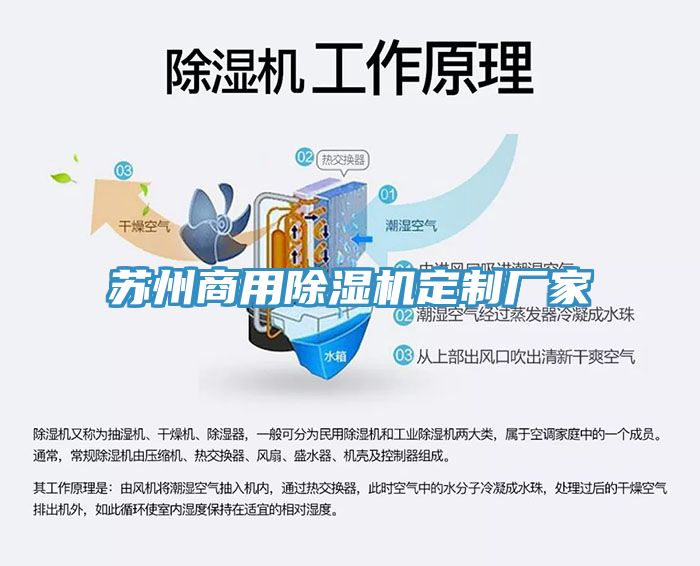 苏州商用小黄片直播视频定制厂家