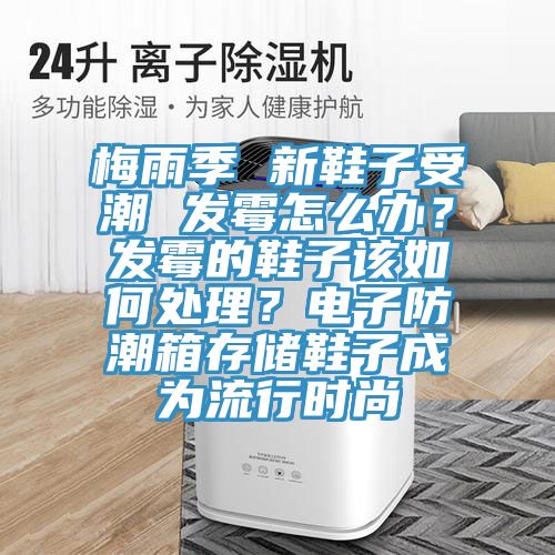梅雨季 新鞋子受潮 发霉怎么办？发霉的鞋子该如何处理？电子防潮箱存储鞋子成为流行时尚