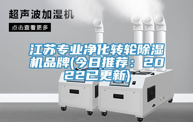 江苏专业净化转轮小黄片直播视频品牌(今日推荐：2022已更新)