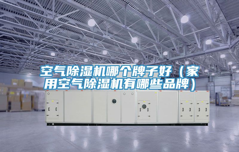 空气小黄片直播视频哪个牌子好（家用空气小黄片直播视频有哪些品牌）