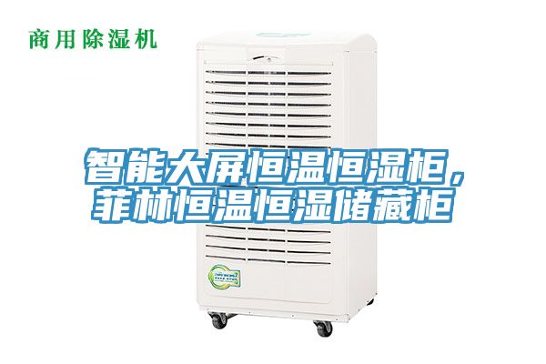 智能大屏恒温恒湿柜，菲林恒温恒湿储藏柜