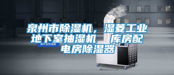 泉州市小黄片直播视频，湿菱工业地下室抽湿机  库房配电房除湿器