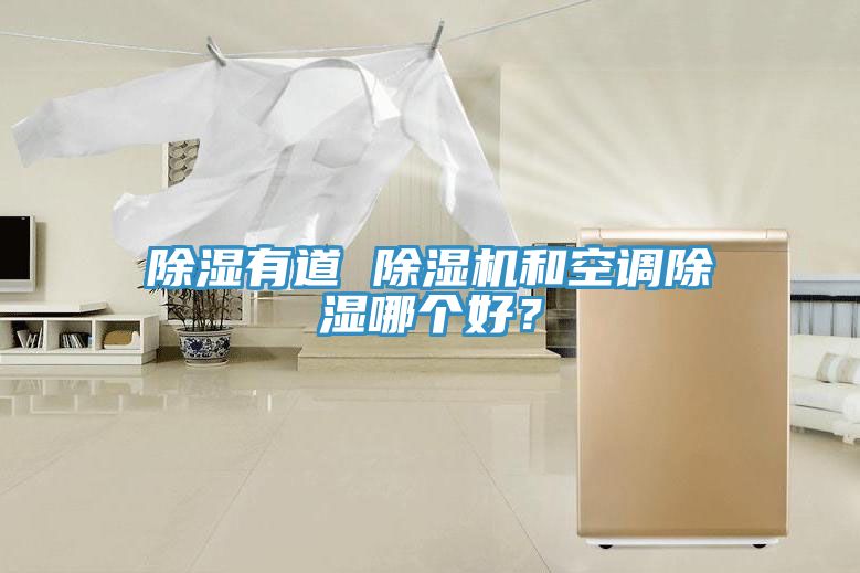 除湿有道 小黄片直播视频和空调除湿哪个好？