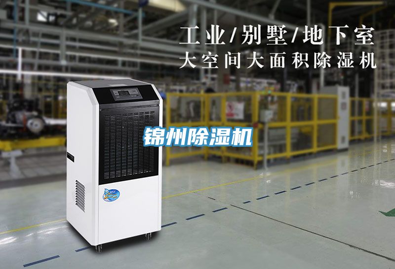 锦州小黄片直播视频
