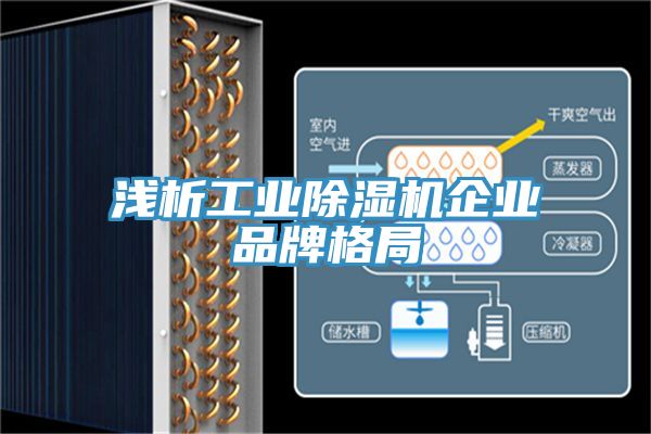 浅析工业小黄片直播视频企业品牌格局