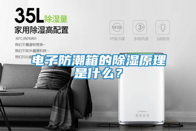 电子防潮箱的除湿原理是什么？