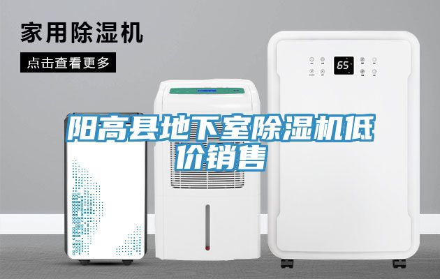 阳高县地下室小黄片直播视频低价销售