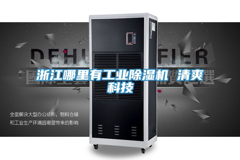 浙江哪里有工业小黄片直播视频 清爽科技
