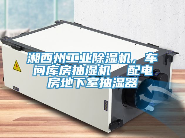 湘西州工业小黄片直播视频，车间库房抽湿机  配电房地下室抽湿器