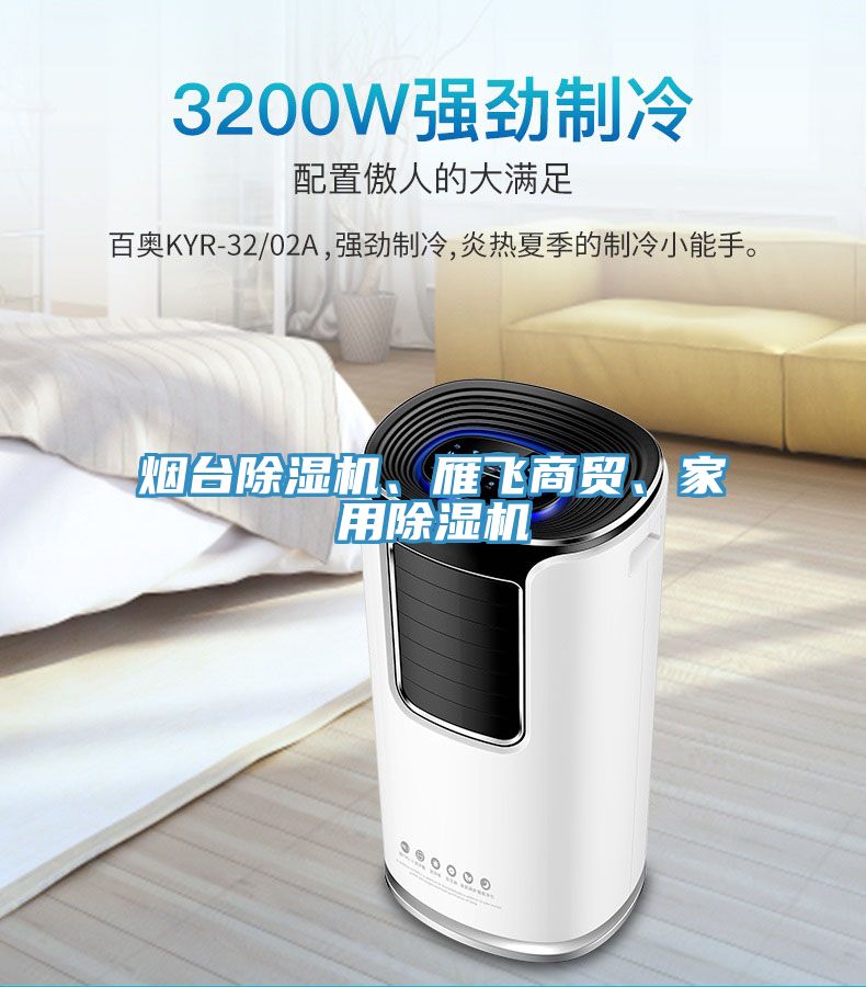 烟台小黄片直播视频、雁飞商贸、家用小黄片直播视频