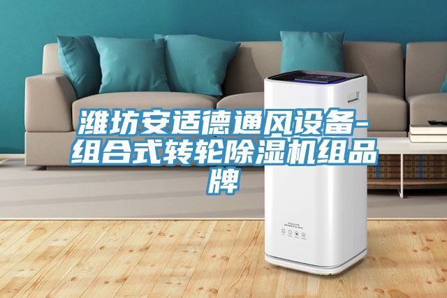 潍坊安适德通风设备-组合式转轮小黄片直播视频组品牌