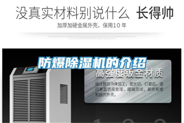 防爆小黄片直播视频的介绍