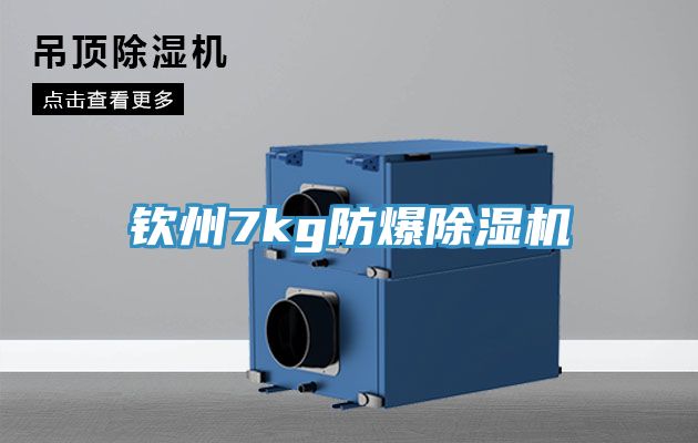 钦州7kg防爆小黄片直播视频