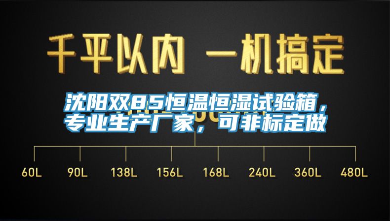 沈阳双85恒温恒湿试验箱，专业生产厂家，可非标定做