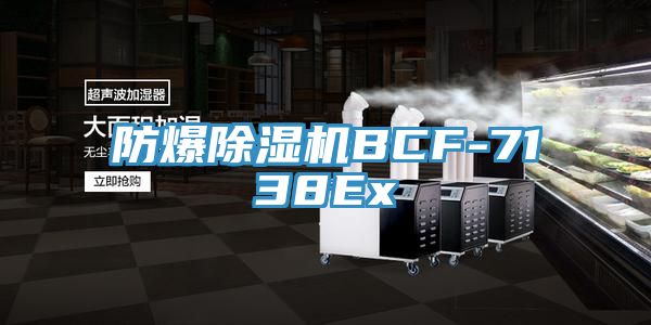 防爆小黄片直播视频BCF-7138Ex