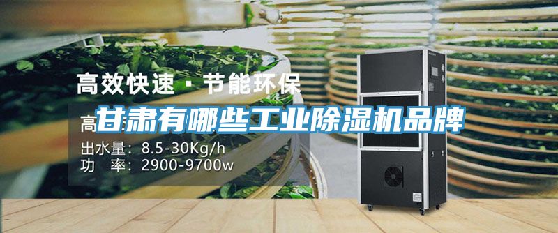甘肃有哪些工业小黄片直播视频品牌