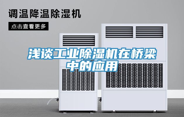 浅谈工业小黄片直播视频在桥梁中的应用