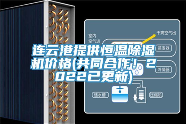连云港提供恒温小黄片直播视频价格(共同合作！2022已更新)