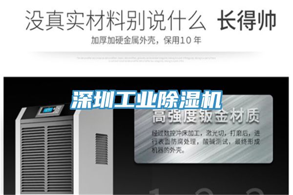 深圳工业小黄片直播视频