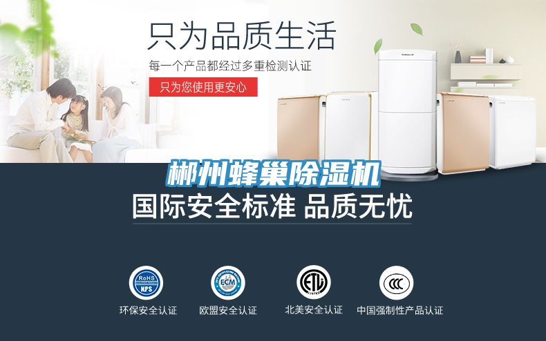 郴州蜂巢小黄片直播视频