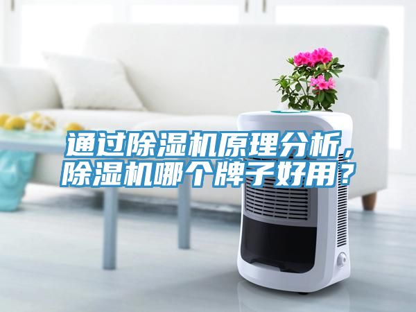 通过小黄片直播视频原理分析，小黄片直播视频哪个牌子好用？