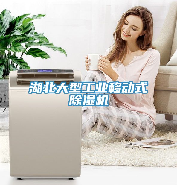 湖北大型工业移动式小黄片直播视频
