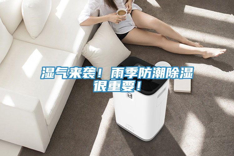 湿气来袭！雨季防潮除湿很重要！