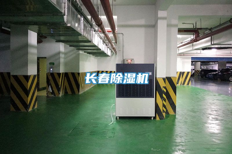 长春小黄片直播视频