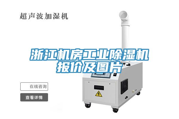 浙江机房工业小黄片直播视频报价及图片