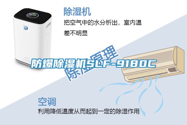 防爆小黄片直播视频SLF-9180C